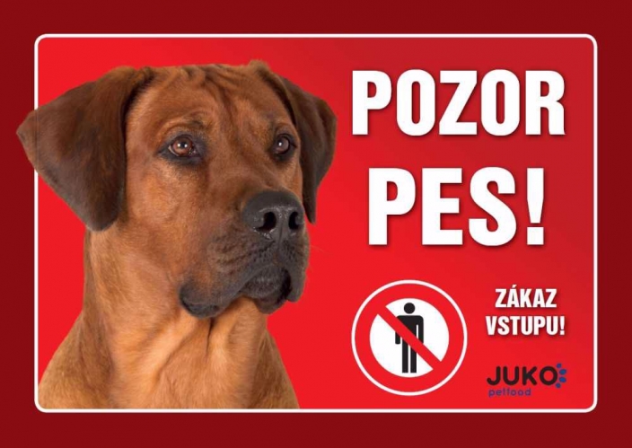 Cedulka plast RHODÉSKÝ RIDGEBACK